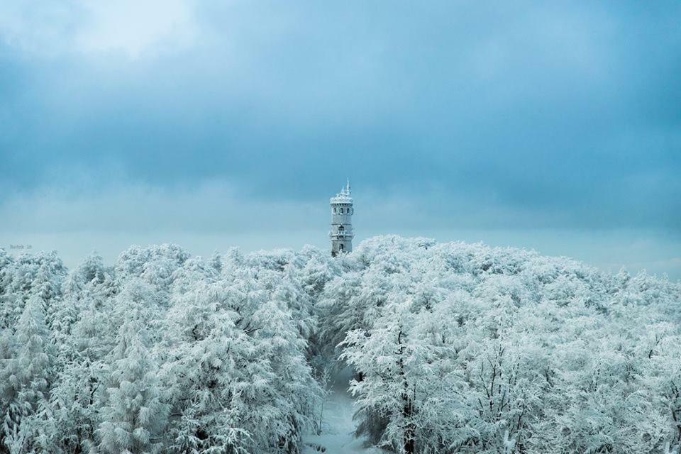 Chalupa Lužické hory Dolni Svetla Esterno foto